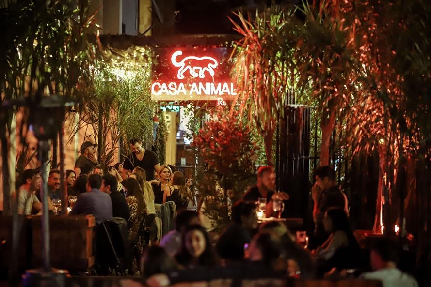 Imagen de Casa Animal